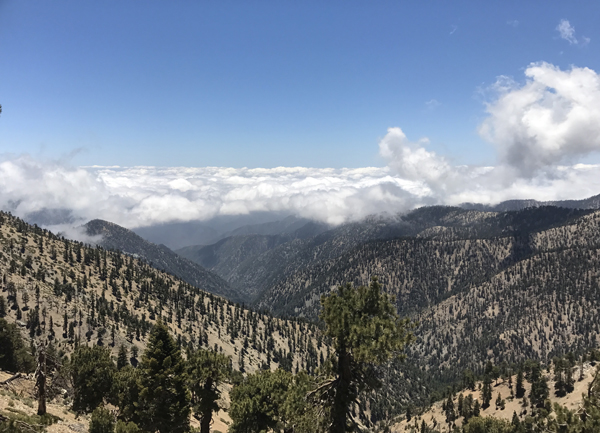 The view from the top of Mt Baden-Powell was glorious, but the hike up was excruciating with stabbing heel pain from plantar fascitis