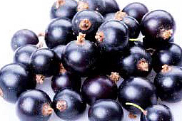 Acai Berry weight loss scam