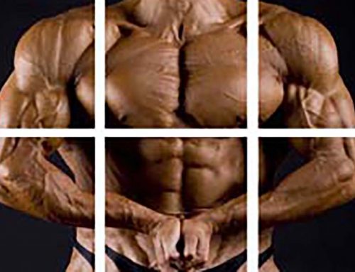 The Shocking Truth About Electrical Muscle Stimulation Ems To Build Muscle And Burn Fat Burn The Fat Blog The Shocking Truth About Electrical Muscle Stimulation Ems To Build Muscle And Burn Fat Burn The Fat Blog