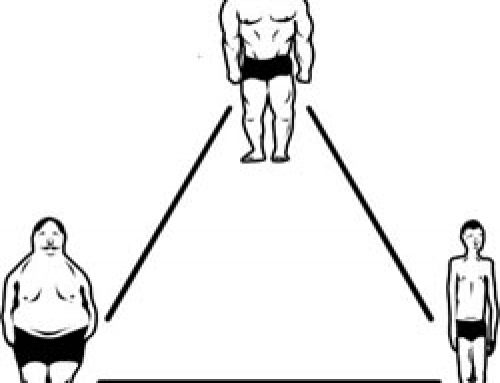 Body Type Revisited : A New Way To Think About The Endomorph, Ectomorph, And Mesomorph