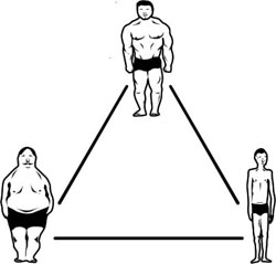 endomorph-ectomorph-mesomorph