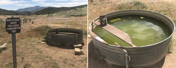 Water In The Desert On The PCT... Filtering Recommended!