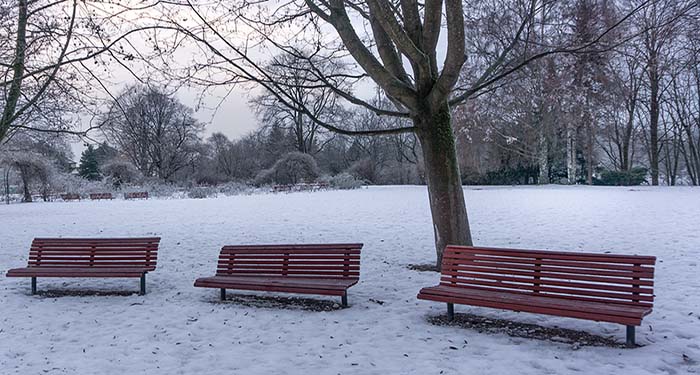 gloomy-winter-weather