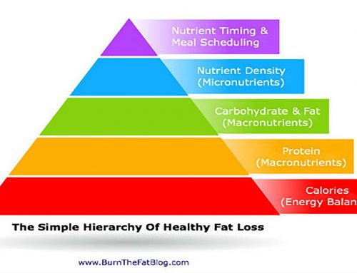 The Fat Loss Diet Pyramid: What Matters Most For Losing Fat