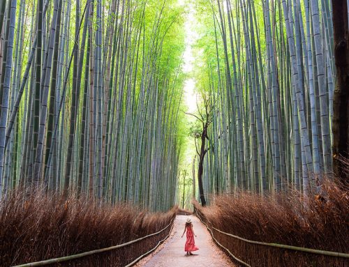 Nature Walking vs Treadmill Walking: The Effects On Hormones And Reducing Stress