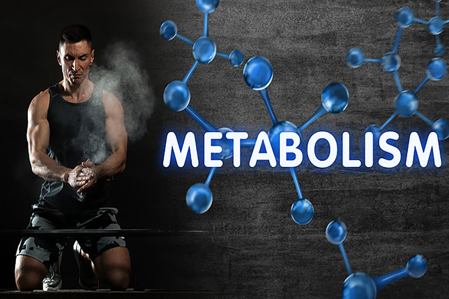 Metabolism myths