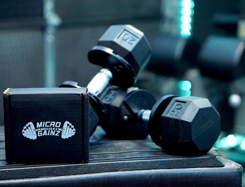 A Review of Micro Gainz Fractional Plates And How To Use Them To Defeat Plateaus And Gain More Muscle