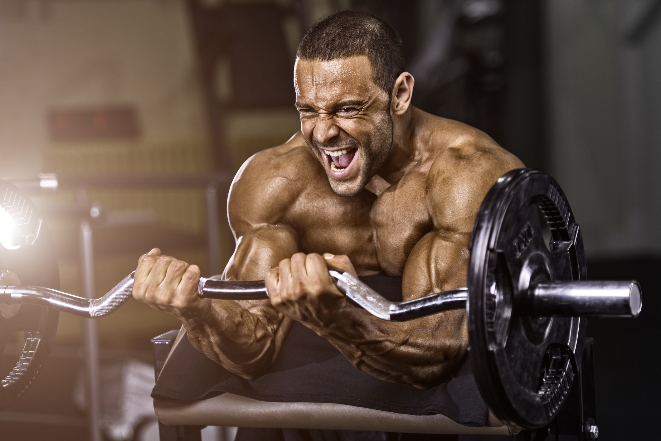 Bodybuilder doing preacher curls