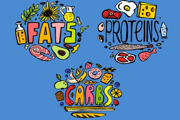 The 3 macros protein, carbs, fats