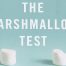 The Marshmallow Test Book Review