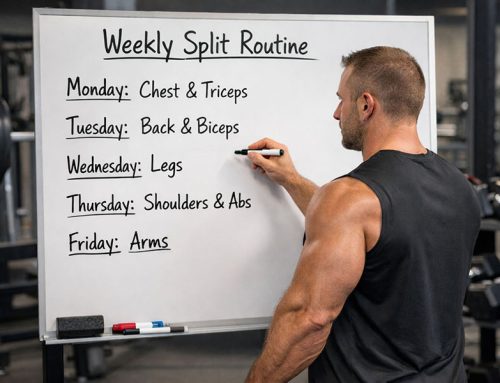 Split Routine Workout Plans: 2, 3, 4 or 5 Day Splits