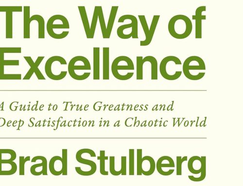The Way Of Excellence By Brad Stulberg Book Review