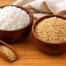 a bowl of white rice and a bowl of brown rice. Is the white rice fattening?
